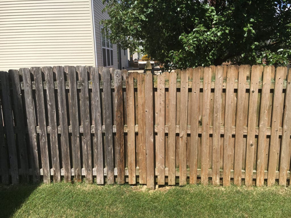 Fence Washing 3